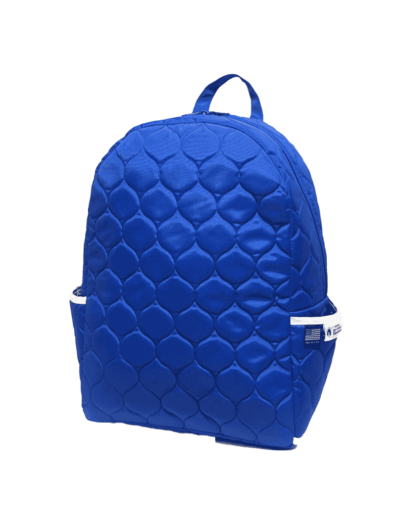 Royal blue backpack purse sale