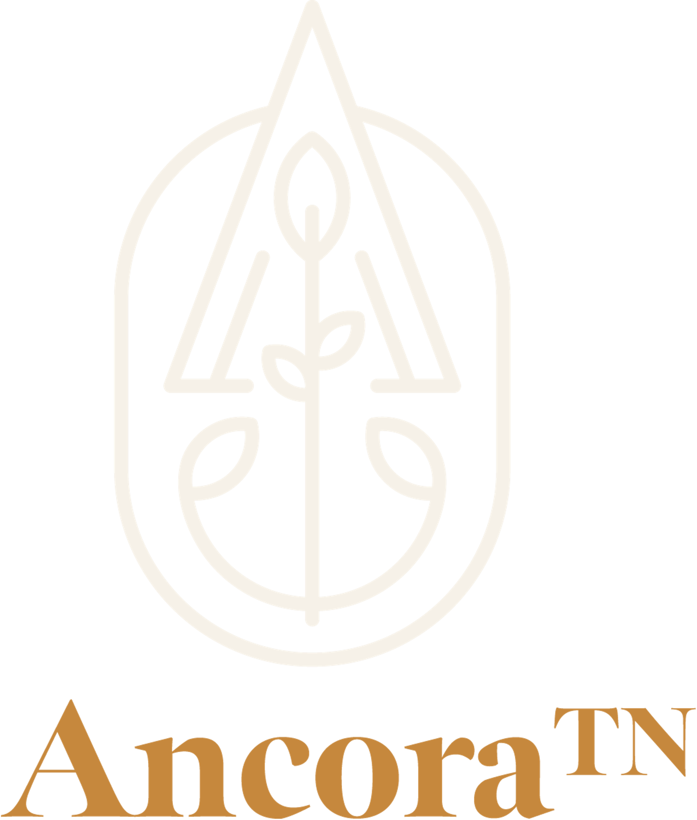 Ancora